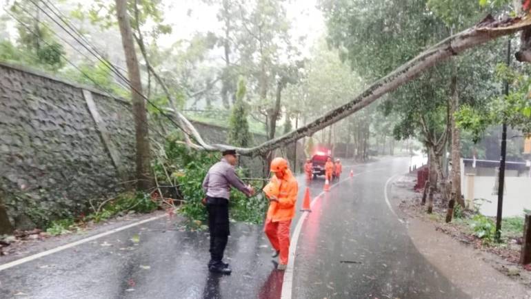 Respon Cepat Polsek Sidomukti Bersama BPBD Evakuasi Pohon Tumbang