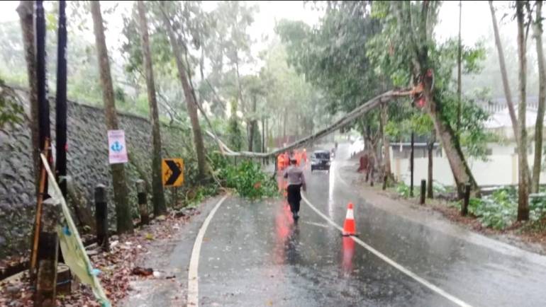 Cegah Kemacetan, Polsek Sidomukti Evakuasi Pohon Tumbang Di Ruas Jalan Hasanudin Salatiga