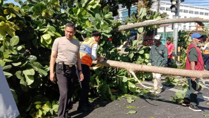 Respon Cepat Anggota Polsek Tingkir, Petugas Terminal, BPBD Kota Salatiga Dan Warga Bersihkan Pohon Tumbang Di Terminal Salatiga
