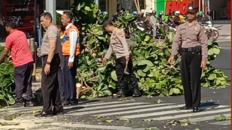 Anggota Polsek Tingkir Kerrja Bakti Bersama Warga Bersihkan Pohon Tumbang Di terminal Salatiga