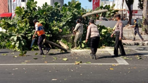 Anggota Polsek Tingkir Bersihkan Pohon Tumbang Di Terminal Salatiga
